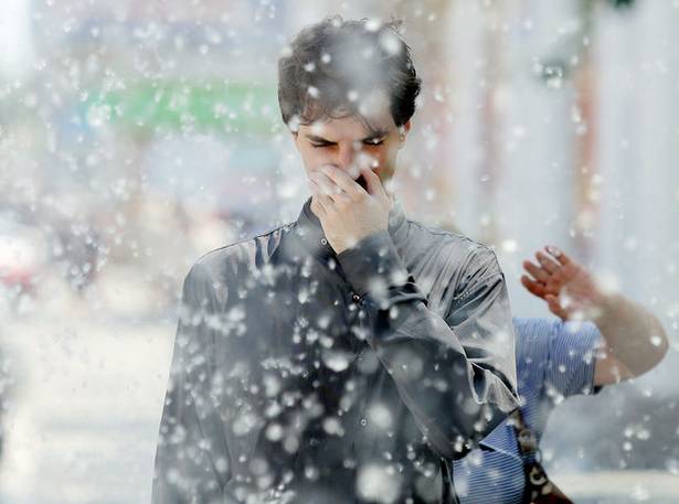 Тополиный пух, жара, июнь!