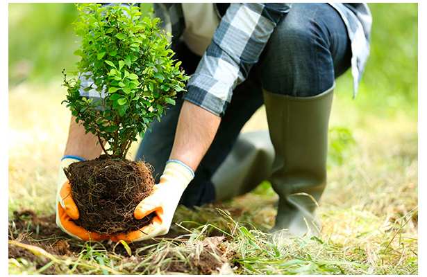 Фабрика фильтров BaltiK собственное производство