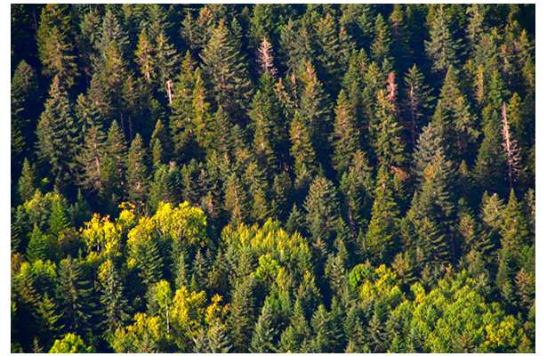 Фабрика фильтров BaltiK собственное производство